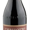 Cavallotto 2016 Cavallotto Barolo Bricco Boschis -SAINT JAMES Shop cavallotto 2016 cavallotto barolo bricco boschis