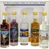 Van Gogh Master Piece Vodka Set Miniatuur 5x0,05L